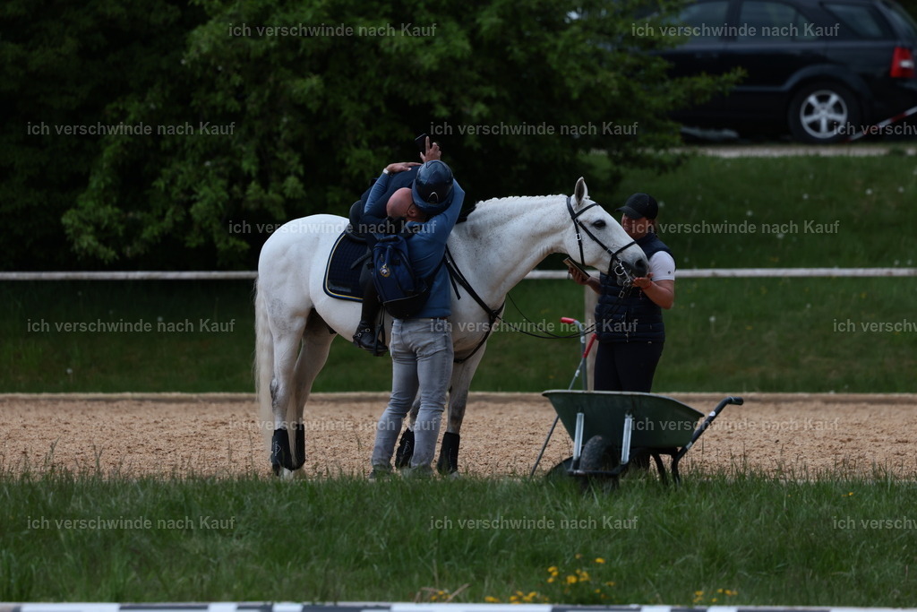 PI26_ST_StoibphotographyC2_L9096.JPG | working equitationturnier fotograf videograf stoibphotography marixx film working equitation deutschland reitsport turnierfotografie eventfotografie equestrian events