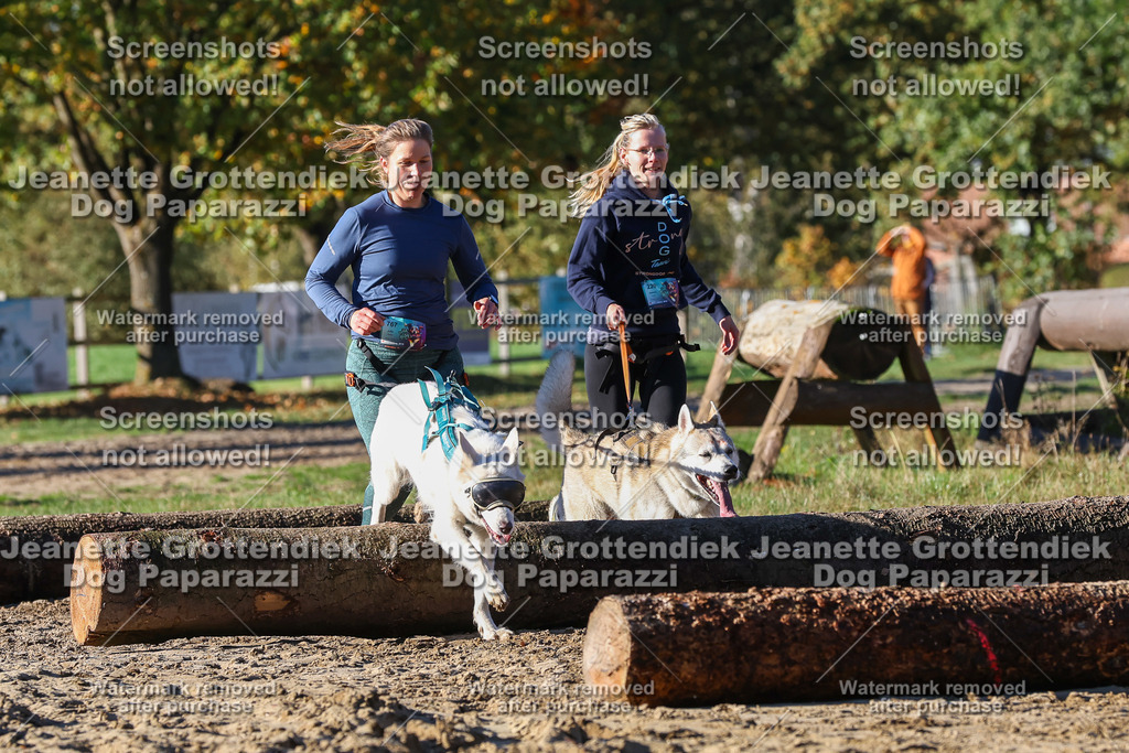 Dog Paparazzi - Strongdog 10-25-1672 | Dog Paparazzi Jeanette Grottendiek Fotografie & Videografie - Realisiert mit Pictrs.com
