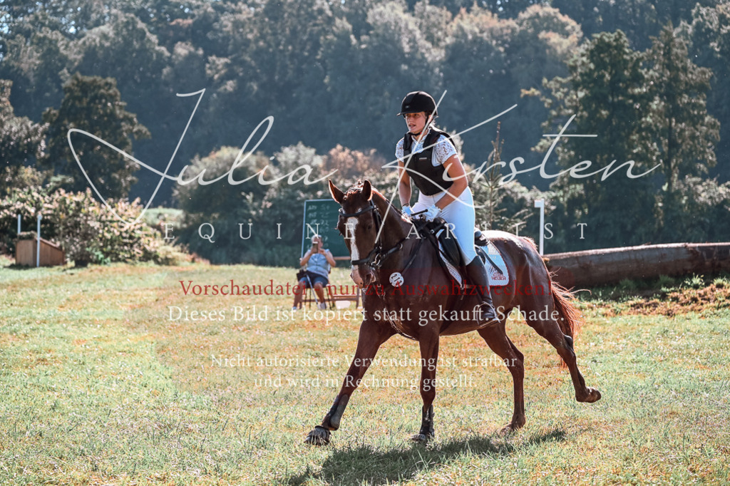 DSC_0754 | Pferde- und Turnierfotografie in Westsachsen. Pferdeportraits, Auftragszeichnungen und intuitive Kunst.
