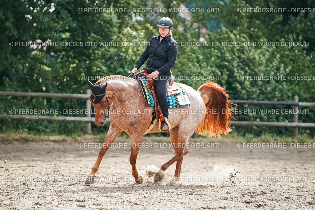 DSC04355 | Pferdegrafie