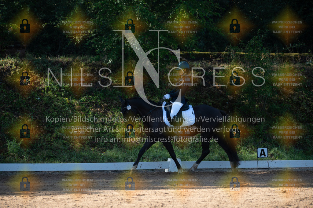 DSC_7873 | Nils Cress - Fotografie - Realisiert mit Pictrs.com