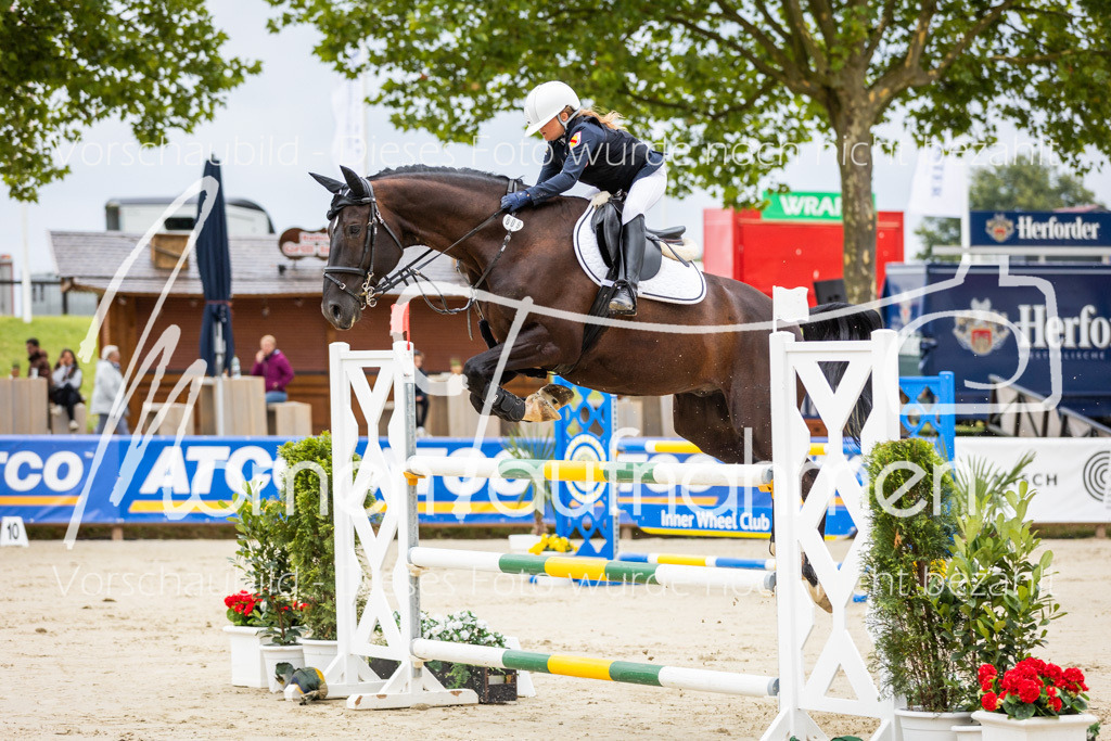 BHO-2PhSpr-M-042 | MomenTaufnahmen Pferdesportfotos