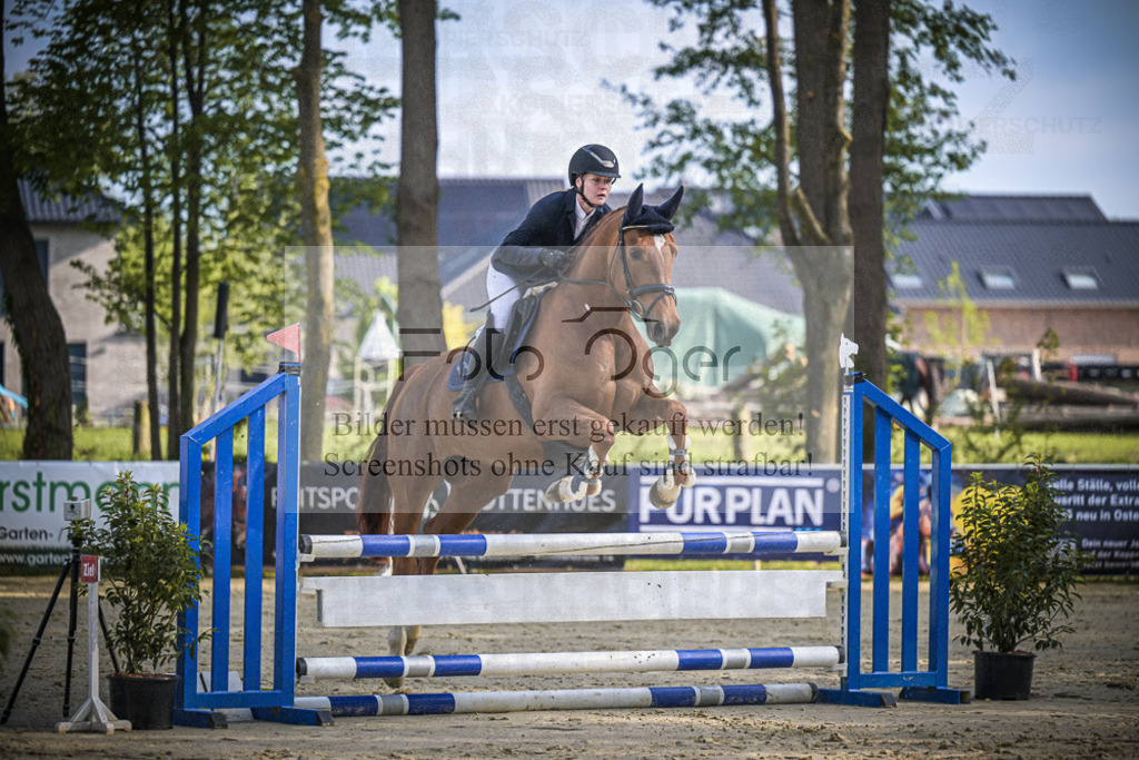 DOS_3945 | Entdecke hochwertige Reitturnierfotos von Foto Oger. Professionell, emotional und authentisch – jetzt Lieblingsmomente im Shop bestellen.Deutschlandweite Turnierfotografie. - Realisiert mit Pictrs.com