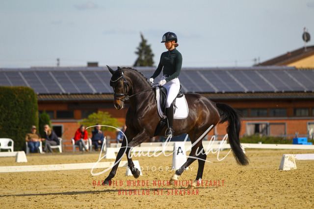 DKP43336 | Turniersportfotografie; Pferdefotografie; Dressurfotografie