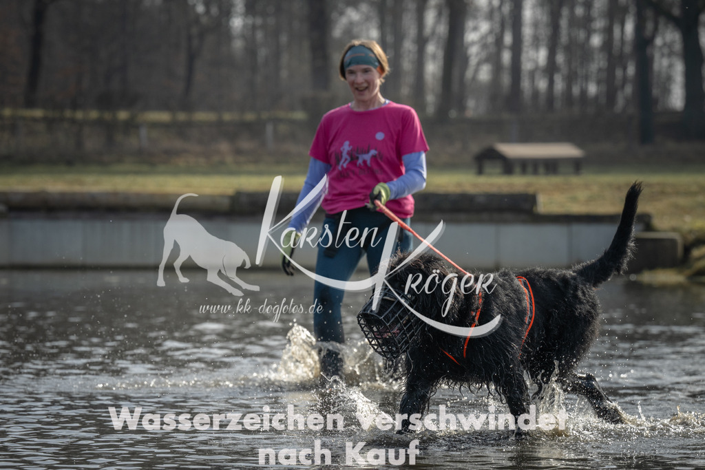 1020_ZZ96755 | kk-dogfotos