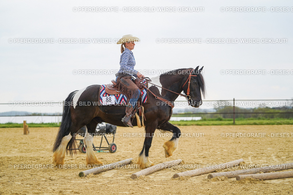 DSC08050 | Pferdegrafie