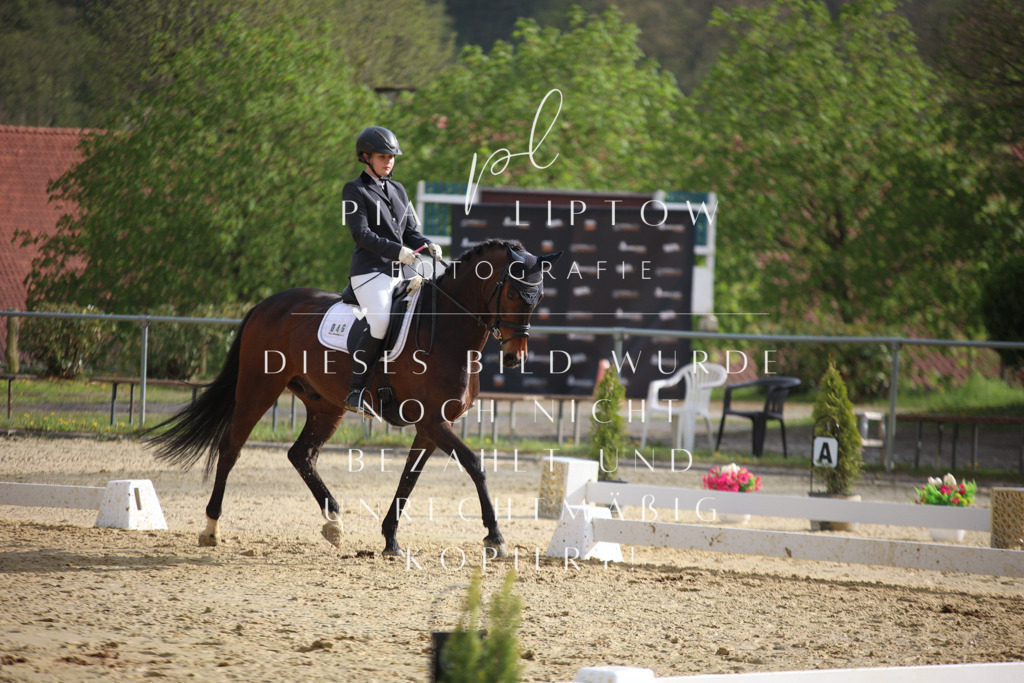 IMGT7186 | pl-fotografie