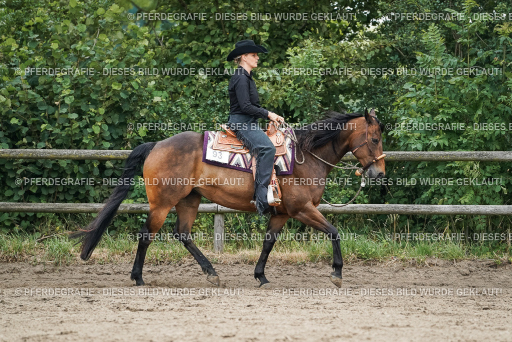 DSC03412 | Pferdegrafie