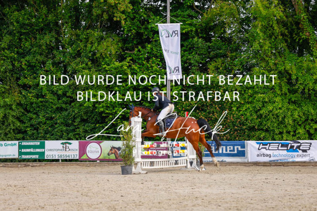 _62_3447 | larahueckfotografie