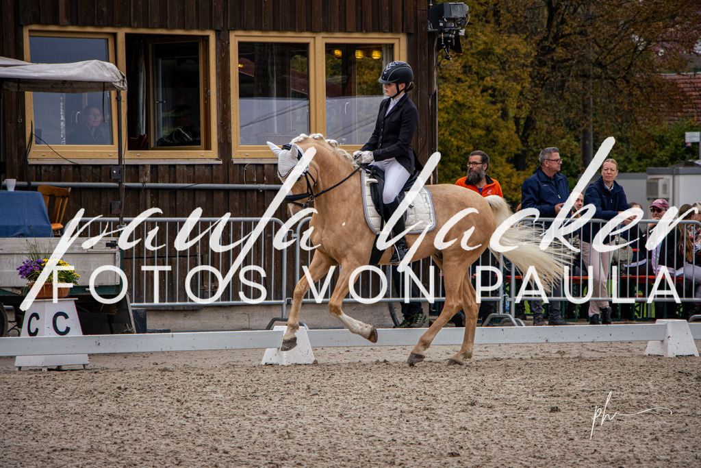 IMG_0988 | Erleben Sie dynamische Sport- und emotionale Tierfotografie in Süddeutschland mit Fotos von Paula. Spezialisiert auf Pferde- und Hundefotografie sowie Sportevents. Kontaktieren Sie mich für einzigartige und ausdrucksstarke Bilder Ihrer besonderen Momente. - Realisiert mit Pictrs.com