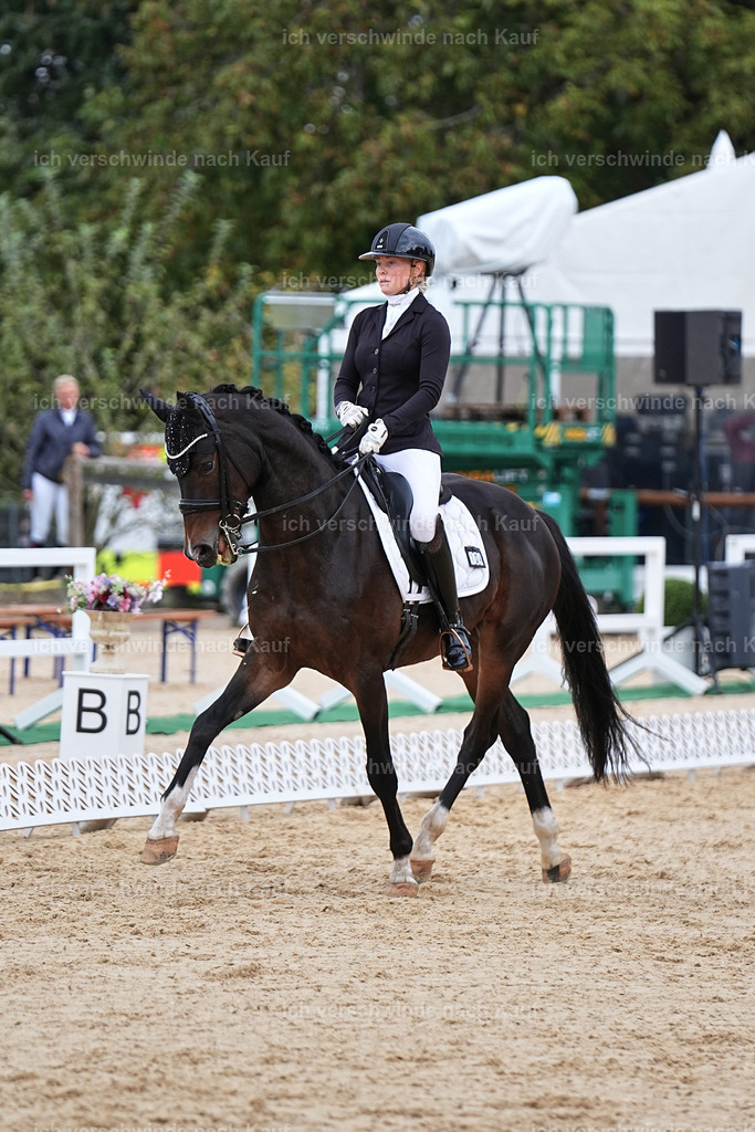 3-104-Dressur M_-Marixx-1964 | working equitationturnier fotograf videograf stoibphotography marixx film working equitation deutschland reitsport turnierfotografie eventfotografie equestrian events