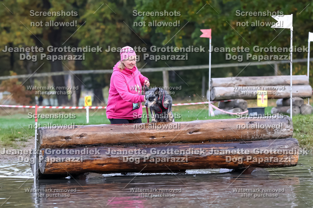 Dog Paparazzi - Strongdog 10-25-6530 | Dog Paparazzi Jeanette Grottendiek Fotografie & Videografie - Realisiert mit Pictrs.com
