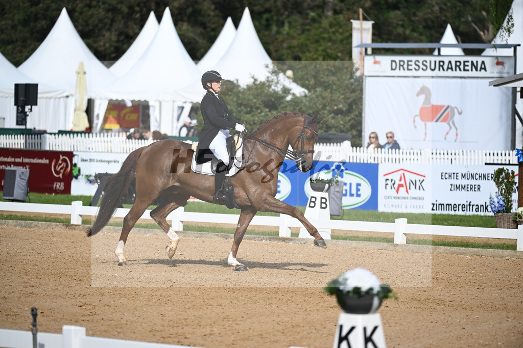 Rhomberg-Rochelt_D Rex RR_12241595 | hf-fotografie - Realisiert mit Pictrs.com