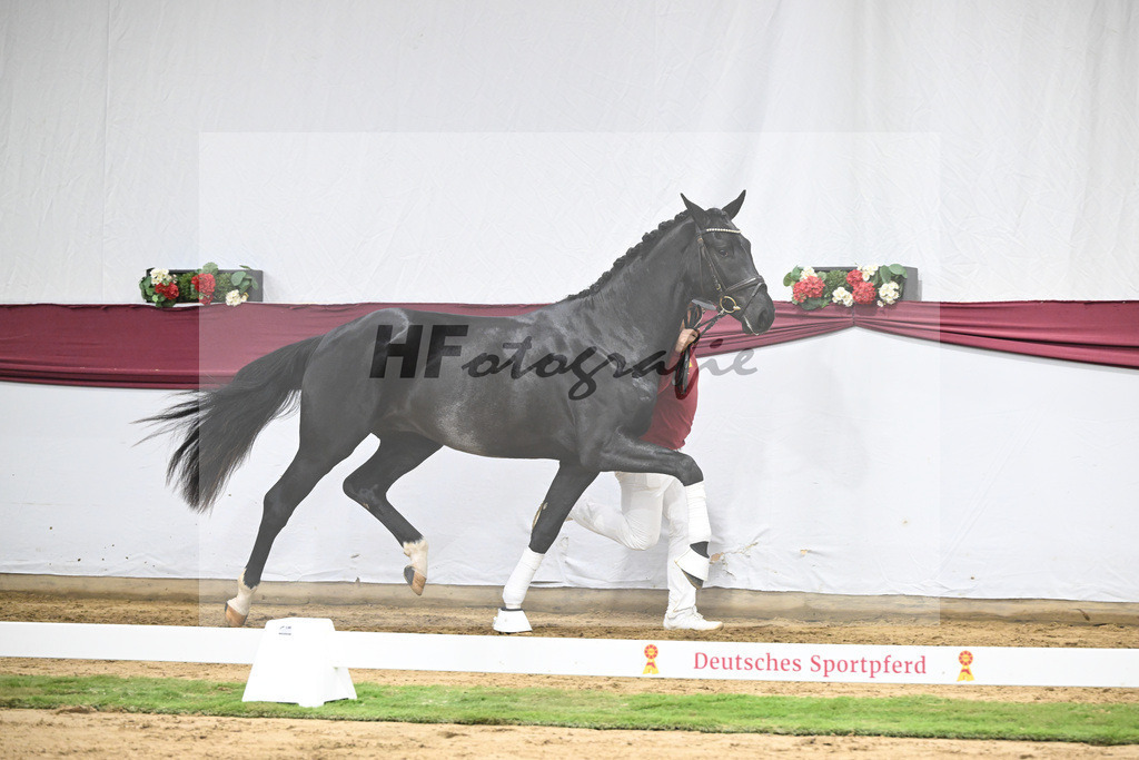 Kat-Nr. 40 Segantini x Fidertanz_Thomas Casper_47251407 | hf-fotografie - Realisiert mit Pictrs.com