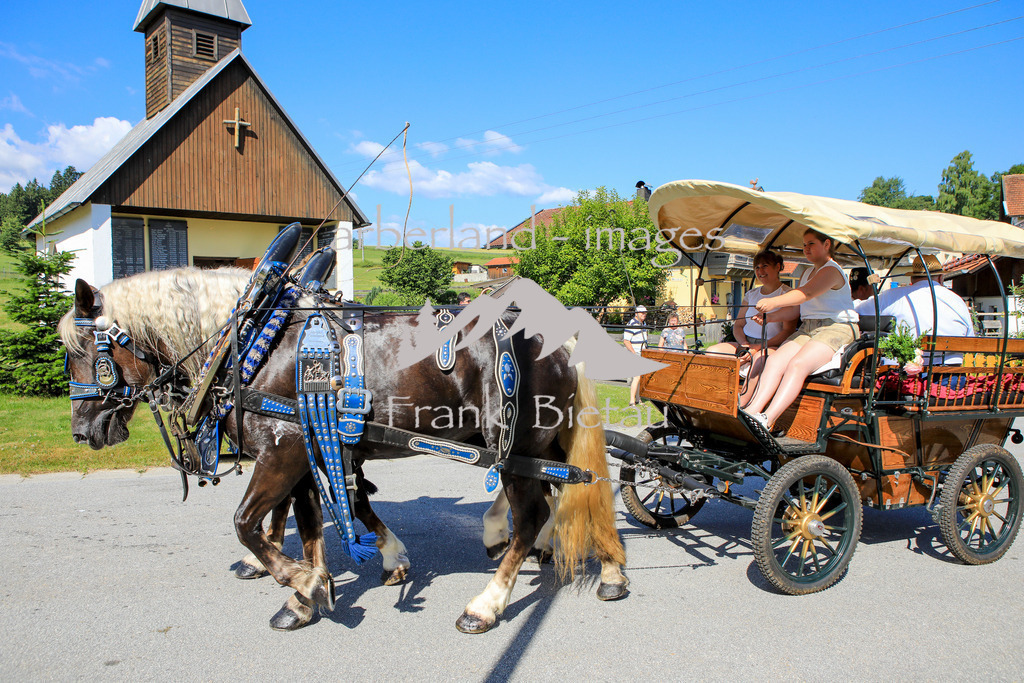 OE7A9761 | Medien- Sport- Entertainmentfotos