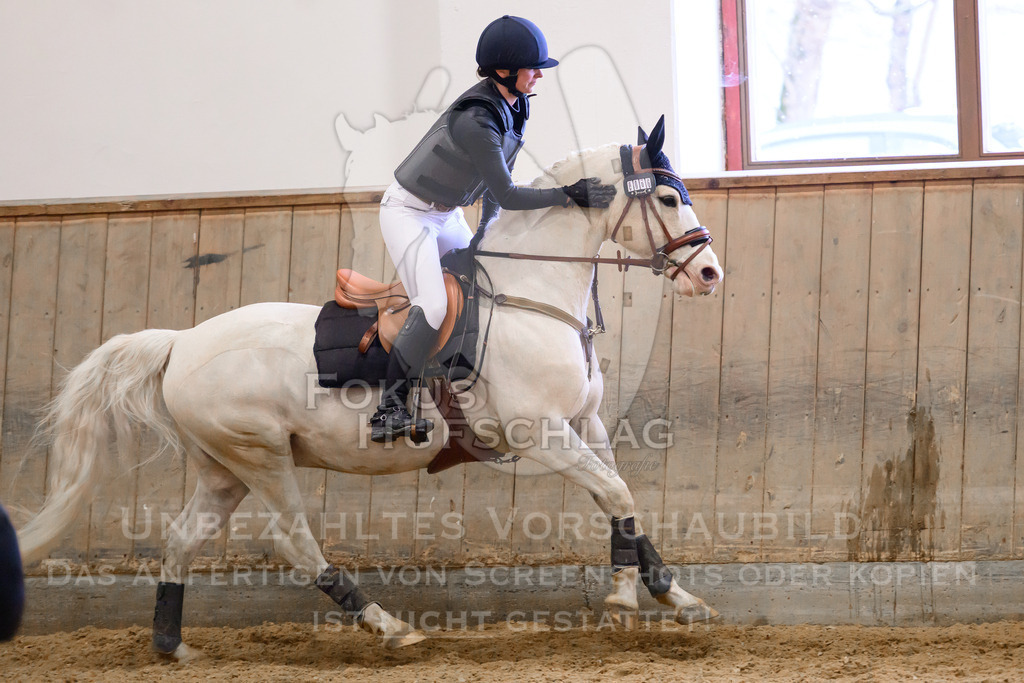 29032026-Schwaiganger-Prfg02-2-0278 | Fokus Hufschlag Fotografie - Realisiert mit Pictrs.com