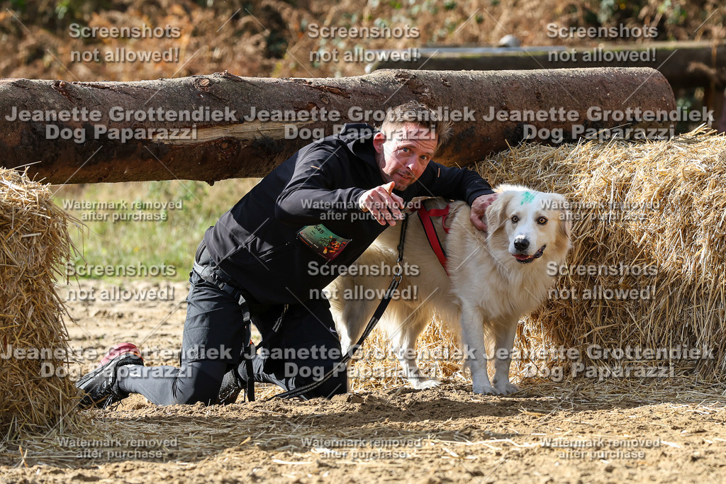 Dog Paparazzi - Strongdog 10-25-5548 | Dog Paparazzi Jeanette Grottendiek Fotografie & Videografie - Realisiert mit Pictrs.com