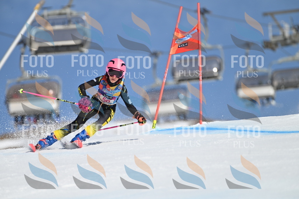 BGV_8530 | holidayphoto