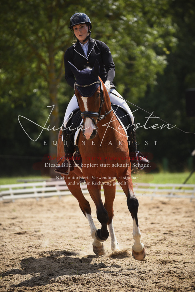 DSC_1257 | Pferde- und Turnierfotografie in Westsachsen. Pferdeportraits, Auftragszeichnungen und intuitive Kunst.