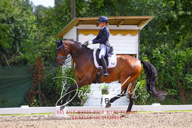 DKP41452 | Deine Turnierfotos vom Reitturnier online kaufen: Dressur, Springen & Siegerehrung. Professionelle Pferdefotografie aus dem Rheinland – als Download & Print.Alternative: Turnierfotograf für den Pferdesport: Finde deine Fotos von Dressur- und Springturnier