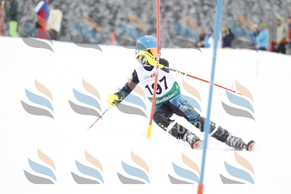 A2029 | holidayphoto