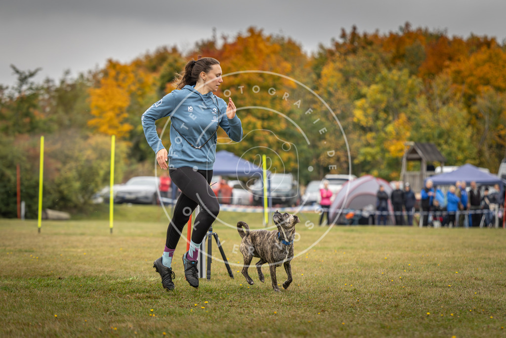 Pfotenfotografie_DV3A3497 | Hundefotografie, Tierfotograf, Pfotenfotografie, Fotoshooting Hund, Hunde Portrait, Hundesport, Hundeportraits, Heideshooting, Hunde, Sportfotograf, Hundefotograf, Turnierhundsport, THS,  - Realisiert mit Pictrs.com