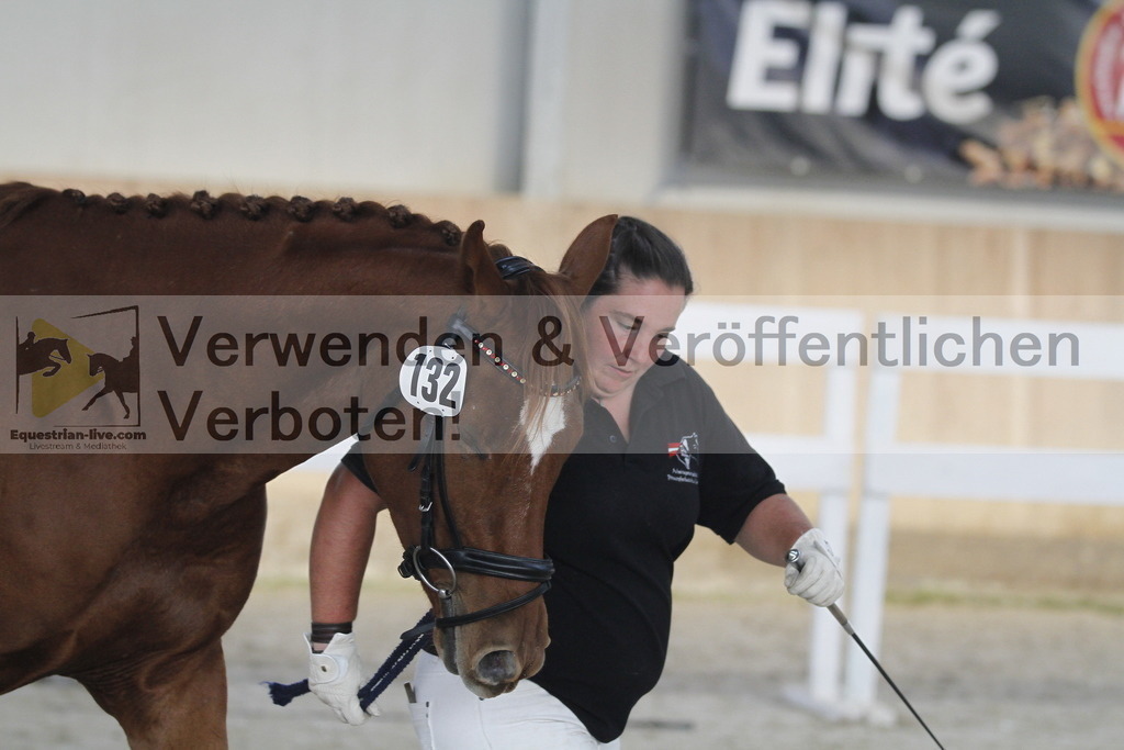 _MG_0819 | equestrian-live-com