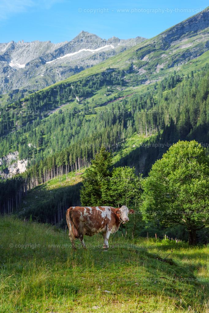 Schönachtal Gerlos Sommer copyright  Thomas Pfister-1 | PHOTOGRAPHY BY THOMAS PFISTER