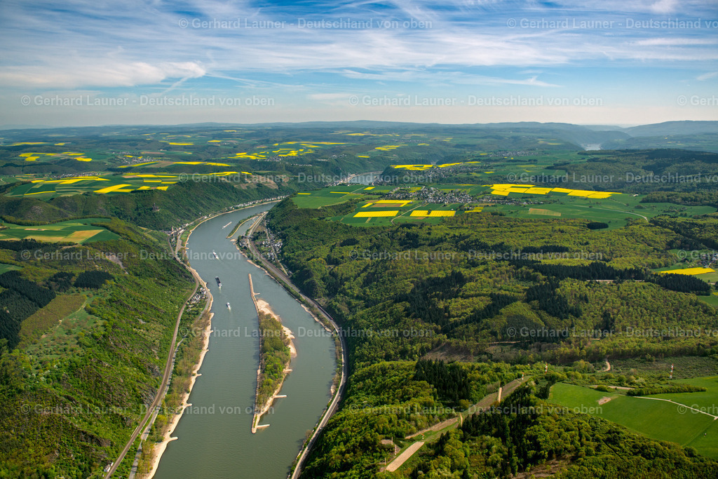 3490936 | Insel Ehrenthaler Werth im Rhein bei Ehrenthal