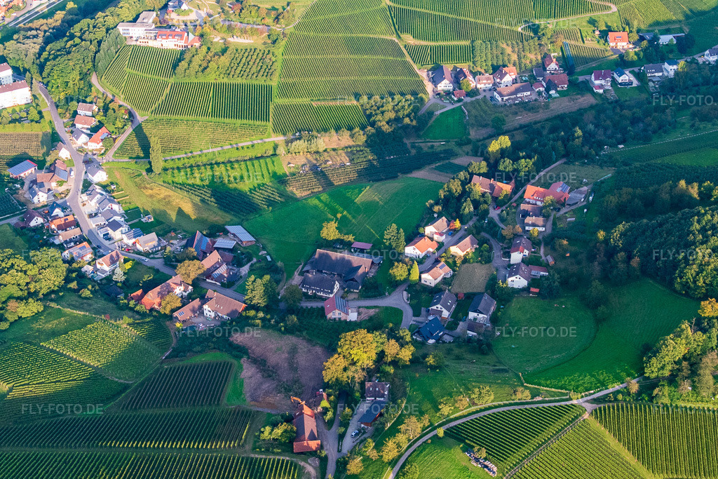 Luftbild: Am Eckenberg zwischen Weinbergen in Oberkirch im Bundesland Baden-Württemberg in Deutschland. Foto: P1010156.jpg vom 15.09.2014 durch Werner Riehm/FLY-FOTO.deAuflösung des Originals: 4949 x 3299 px