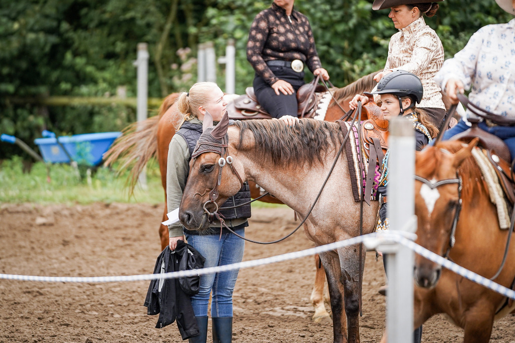 DSC02712 | Pferdegrafie