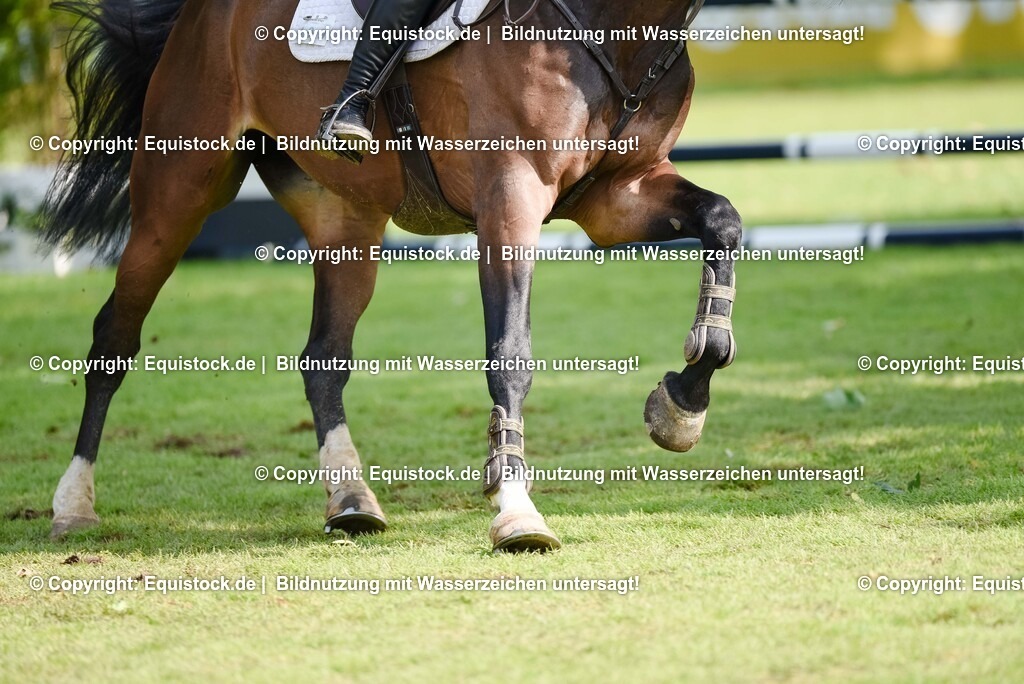 20250608_16_Quali-GP_Hess-Min-Präs_0253 | Foto: Thomas Hartig