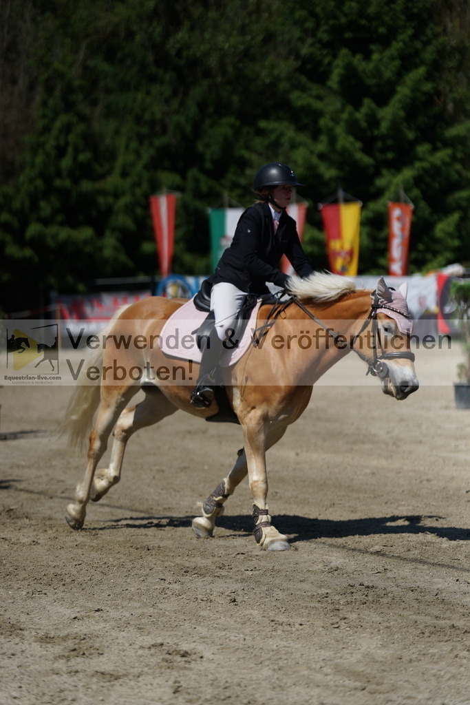 DSC06235 | equestrian-live-com