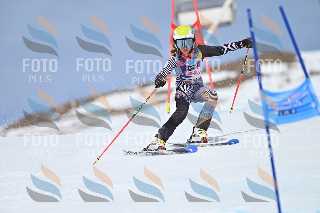 BGV_1804 | holidayphoto