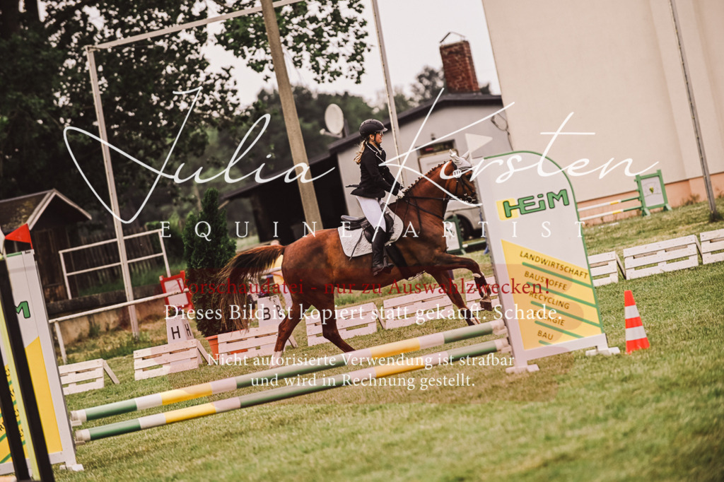 DSC_7001 | Pferde- und Turnierfotografie in Westsachsen. Pferdeportraits, Auftragszeichnungen und intuitive Kunst.
