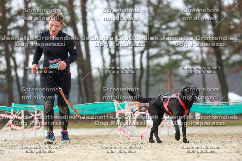 Dog Paparazzi - Strongdog North Mrz26-4259 | Dog Paparazzi Jeanette Grottendiek Fotografie & Videografie - Realisiert mit Pictrs.com