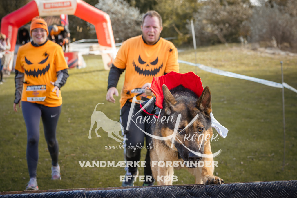 1323_ZZ90431-2 | kk-dogfotos