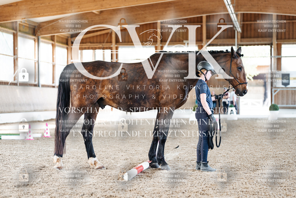 CK905786 | Turnierfotografie Pferdefotografie Trier Rheinland-Pfalz Pferdesport Reitsport Tierfotografie Sportfotografie Pferdevideo Pferdevideografie Equestrianvideography equestrianphotography  - Realisiert mit Pictrs.com