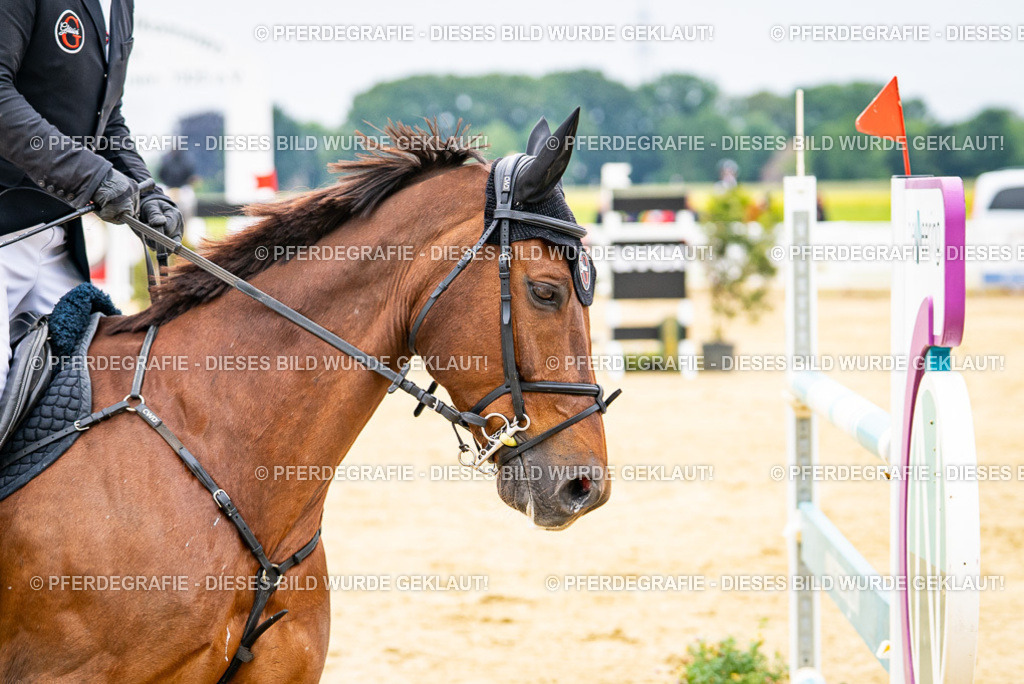 DSC06768 | Pferdegrafie