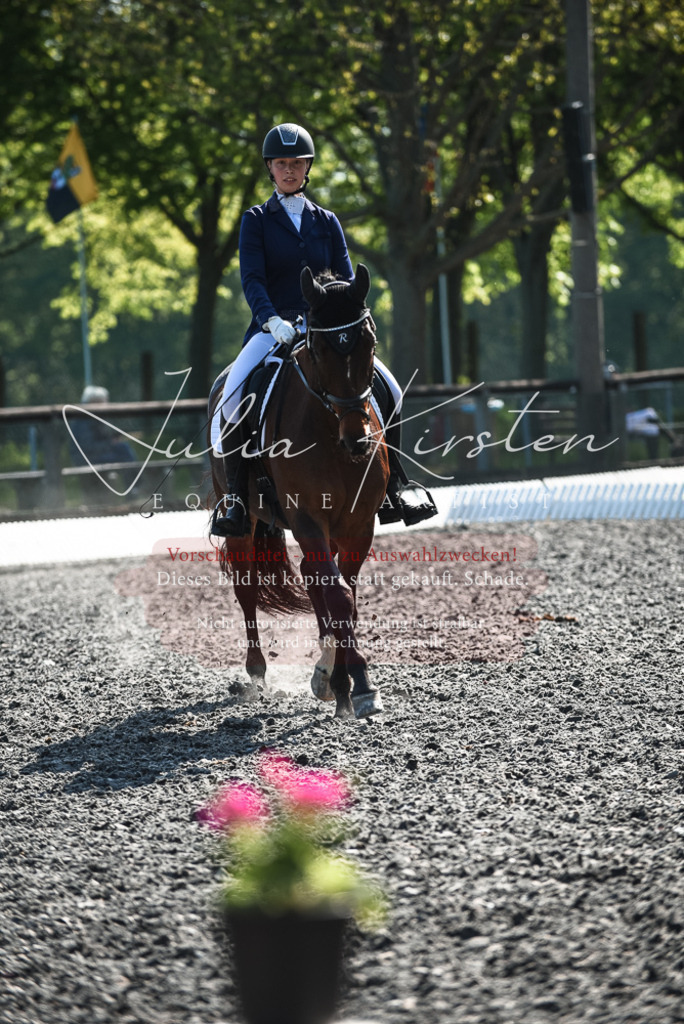 DSC_8771 | Pferde- und Turnierfotografie in Westsachsen. Pferdeportraits, Auftragszeichnungen und intuitive Kunst.