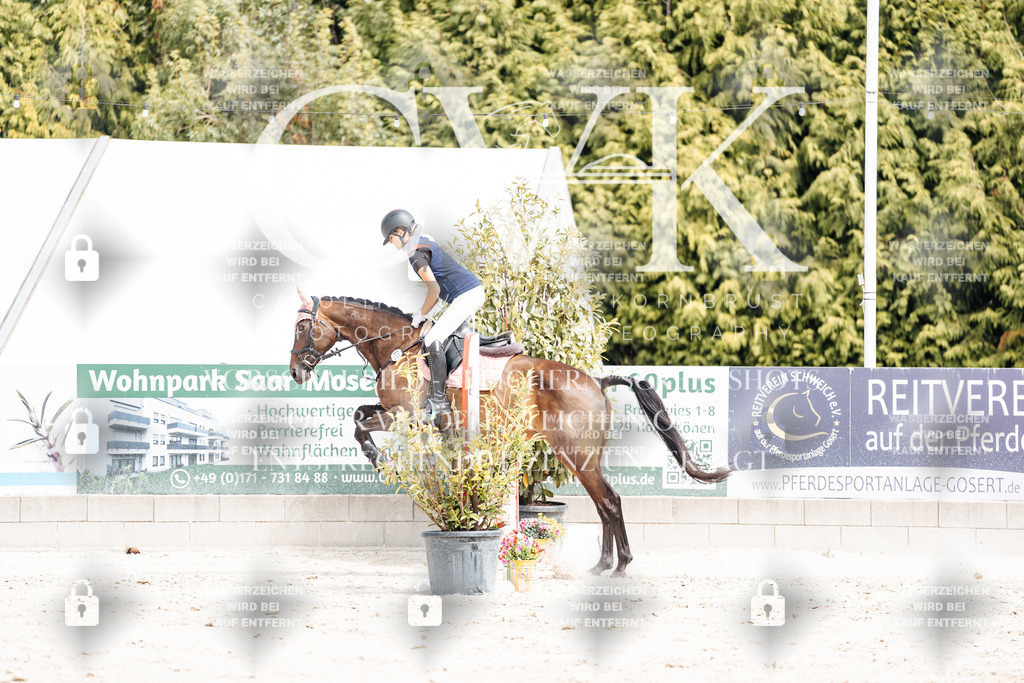 CK906697 | Turnierfotografie Pferdefotografie Trier Rheinland-Pfalz Pferdesport Reitsport Tierfotografie Sportfotografie Pferdevideo Pferdevideografie Equestrianvideography equestrianphotography  - Realisiert mit Pictrs.com