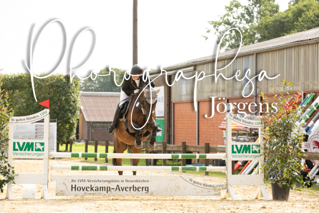 IMG_6613 | photographesa-joergens - Realisiert mit Pictrs.com