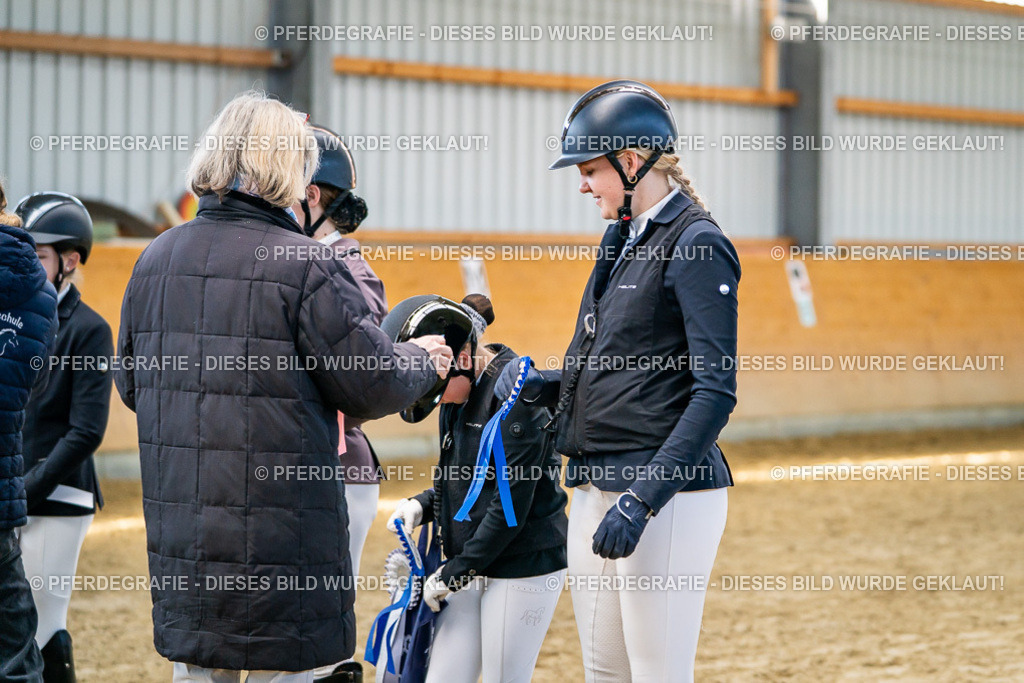 DSC01367 | Pferdegrafie