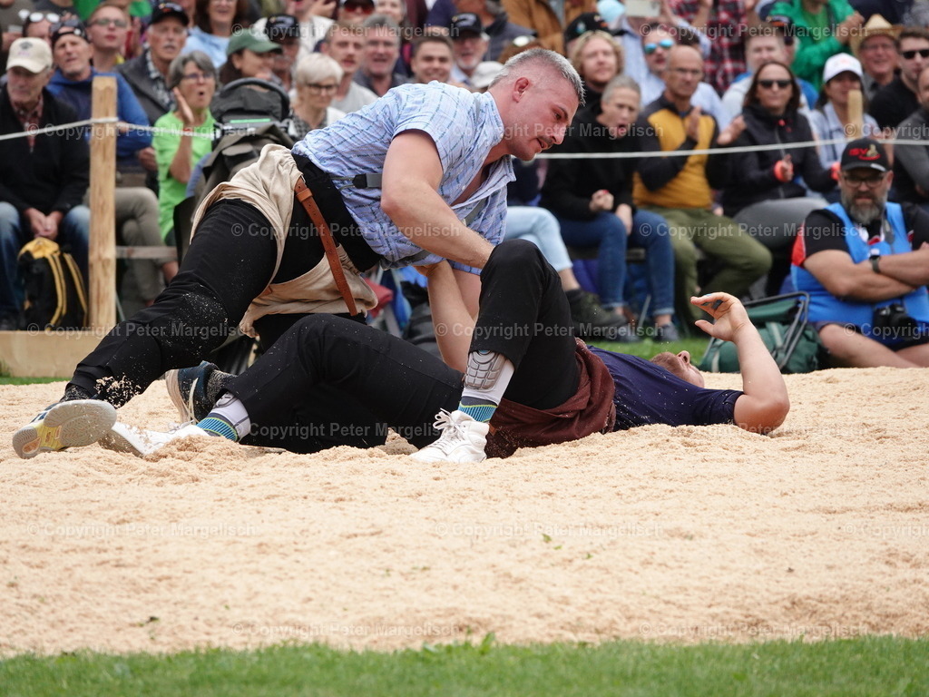 DSC08378 | Schwingen - Realisiert mit Pictrs.com