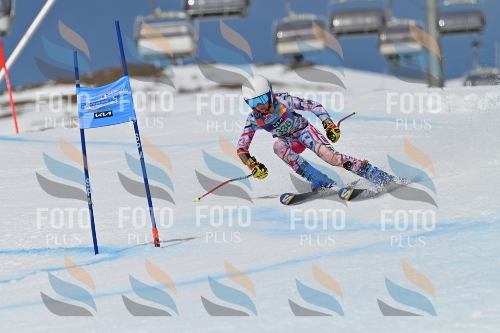 BGV_6647 | holidayphoto