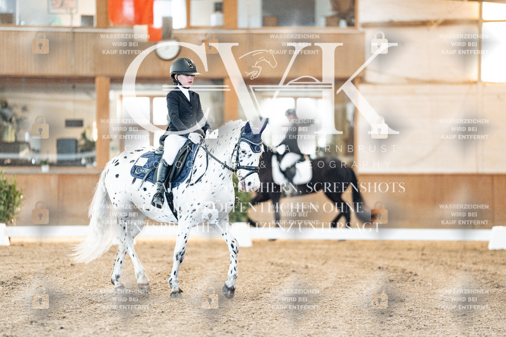 CK906362 | Turnierfotografie Pferdefotografie Trier Rheinland-Pfalz Pferdesport Reitsport Tierfotografie Sportfotografie Pferdevideo Pferdevideografie Equestrianvideography equestrianphotography  - Realized with Pictrs.com