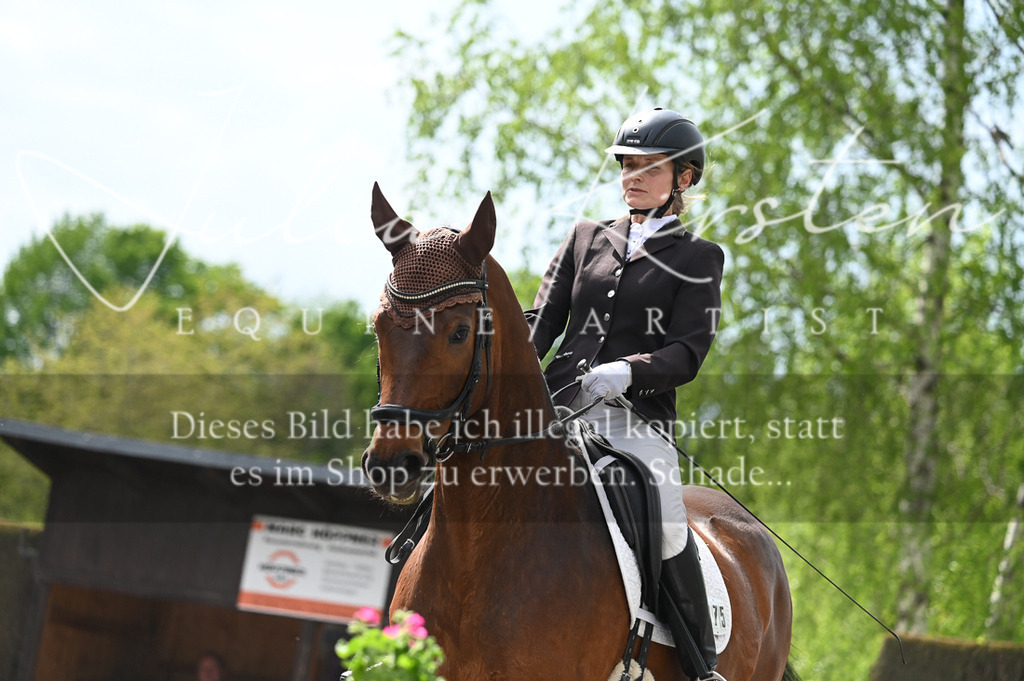 20230512_JK-Röhrsdorf-08-211 | Pferde- und Turnierfotografie in Westsachsen. Pferdeportraits, Auftragszeichnungen und intuitive Kunst.