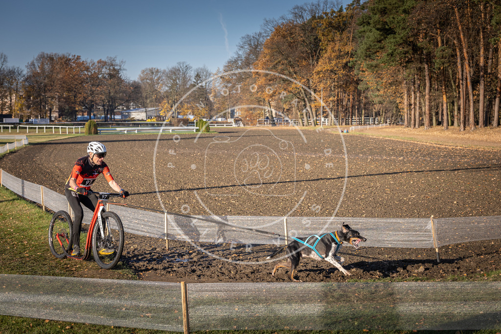CaniXpix_DV3A2072 | Hundefotografie, Tierfotograf, Pfotenfotografie, Fotoshooting Hund, Hunde Portrait, Hundesport, Hundeportraits, Heideshooting, Hunde, Sportfotograf, Hundefotograf, Turnierhundsport, THS,  - Realisiert mit Pictrs.com