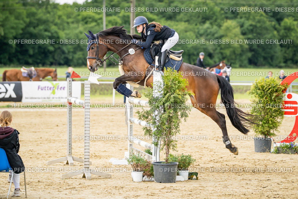 DSC06706 | Pferdegrafie