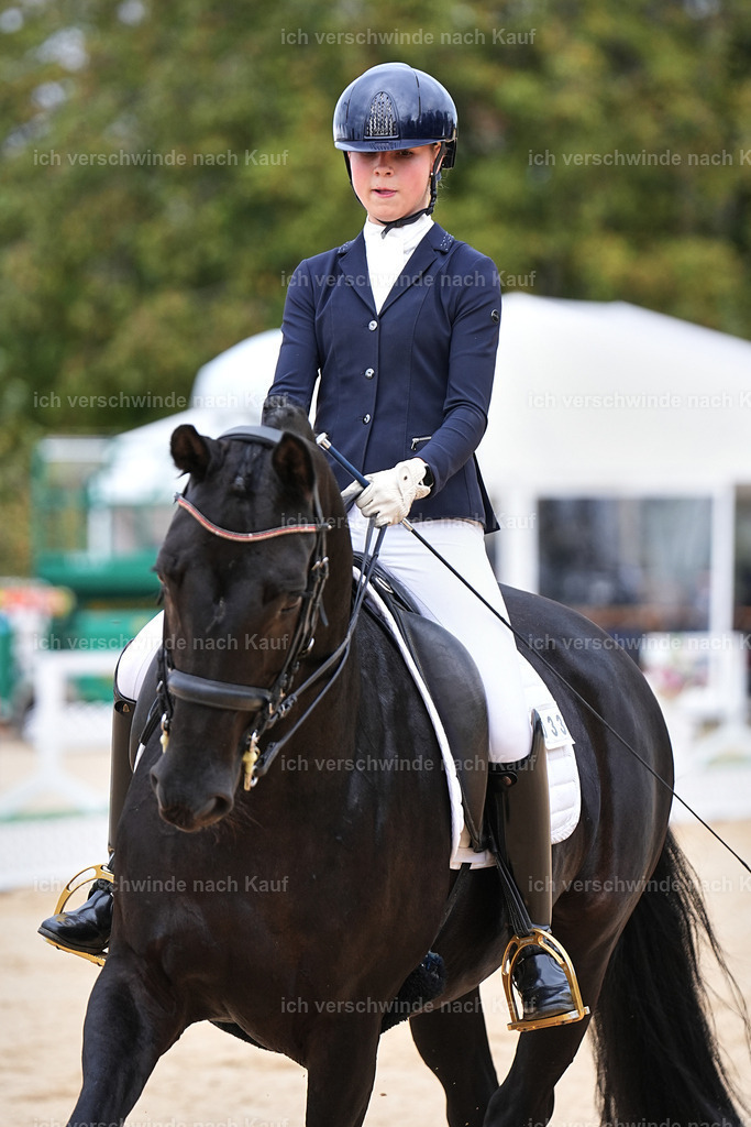 04_1-033-Dressur M__ -Marixx-2761 | working equitationturnier fotograf videograf stoibphotography marixx film working equitation deutschland reitsport turnierfotografie eventfotografie equestrian events